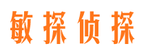 禄丰侦探公司